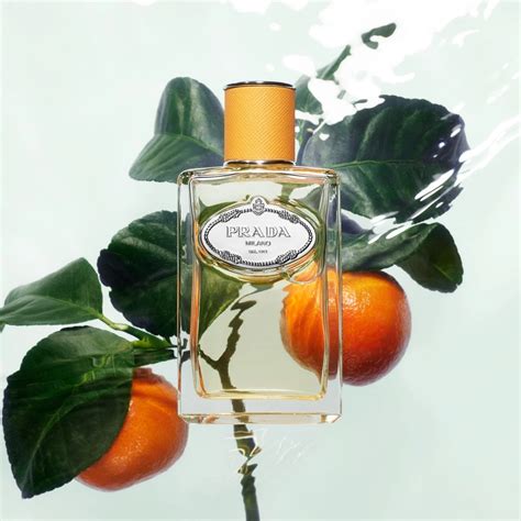 infusion de mandarine prada|Infusion de Mandarine Eau de Parfum .